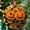 Evil Pumpkin2742, variant on Ornament Window Hanging - Halloween Decoration Evil Scary Big Mouth Ghost Suncatcher for Doors Garden Spooky Sun Catchers Gothic Decor Horror Gifts for Women Men Friend Boy, 2025,