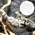 thumbnail image 4 of KAKOWELY reptile case Acrylic Reptile Box Terrarium Transparent Pet Reptile Breeding Case Container4.13"X3.35"X2.36", 4 of 5