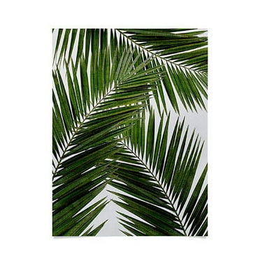 Society6 Orara Studio Palm Leaf III Unframed Poster Wall Art, 18" x 24"