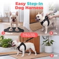thumbnail image 3 of Voyager Step-In Air Mesh Dog Harness by Best Pet Supplies, 3 of 9