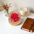 thumbnail image 5 of Preserved Real Flower Glass Dome Eternal Carnation Rose Display For Home Tabletop Decor Gift, 5 of 7