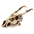 thumbnail image 1 of Raqueta de pádel de tenis Zulema Raqueta de pádel de fibra de carbono Cojín agarre Escultura de cabeza de calavera, 1 of 8