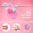 thumbnail image 2 of Esponjas faciales comprimidas GAINWELL, 50 unidades, 100% naturales, 2 of 7