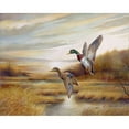 thumbnail image 3 of Manning, Ruane 14x12 Black Modern Framed Museum Art Print Titled - Mallards, 3 of 5
