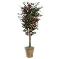 thumbnail image 2 of Vickerman 6' Artificial Capensia Tree, Gray Round Plastic Container, Silk, 2 of 2