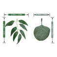 thumbnail image 6 of leaveforme 2PCS Artificial Eucalyptus Willow Garlands, Leaf Greenery Garland for Baby Bridal Shower Centerpieces Party Balloon Cake Thanksgiving Halloween Christmas Table Decorations, 6 of 6