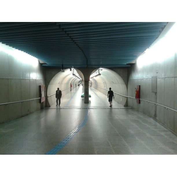Saƒae A A Aƒa Sa A O Paulo Transport Sampa Sp Train Subway Inch By 30 Inch Laminated Poster With Bright Colors And Vivid Imagery Fits Perfectly In Many Attractive Frames Walmart Com Walmart Com