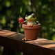 thumbnail image 3 of pstuiky Decoración de ranas de jardín, 3 of 5