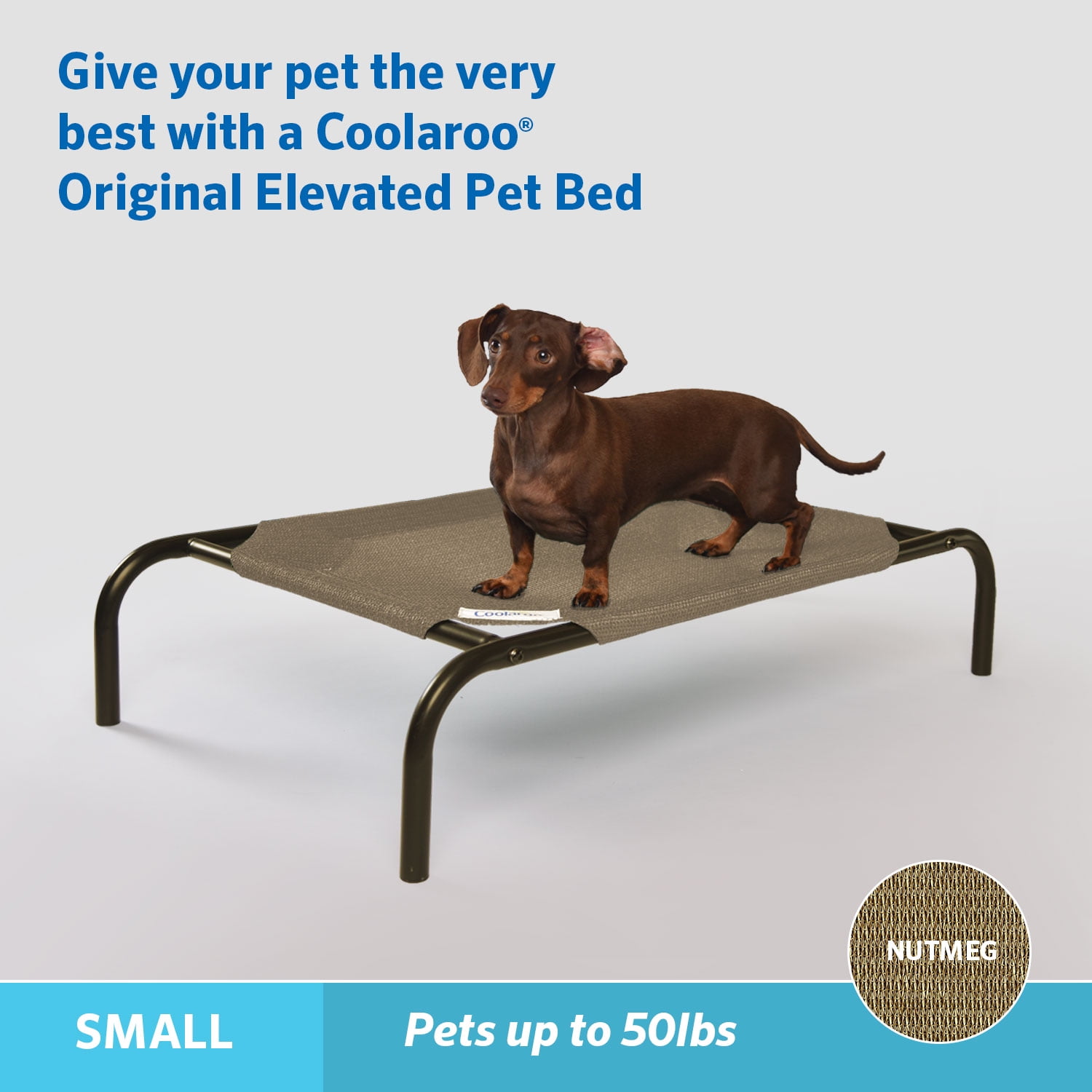 The Original Coolaroo Elevated Pet Dog Bed for Indoors Outdoors Small Gray Walmart