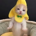 thumbnail image 4 of Cute Banana Cat Pet Costume Apparel, Soft Plush Material with Green Bow Tie Design, for Small Dogs Cats Halloween Cosplay Party Daily Wear - 1PC Banana Pet Outfit, 4 of 8