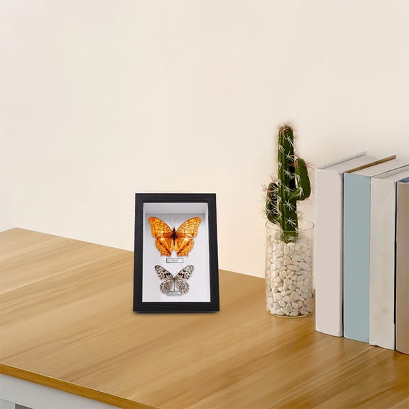 HONMEET 2-Pack Black Wooden Photo Display Box for Specimen, Plant, and Picture Frame Display