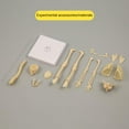 thumbnail image 4 of HAOAN Kids Anatomy Toys Human Body Model  Assembled Human Torso Organ Model for Kids Children Learning Science Anatomy  Ages 6+ (Multi-Type), 4 of 15