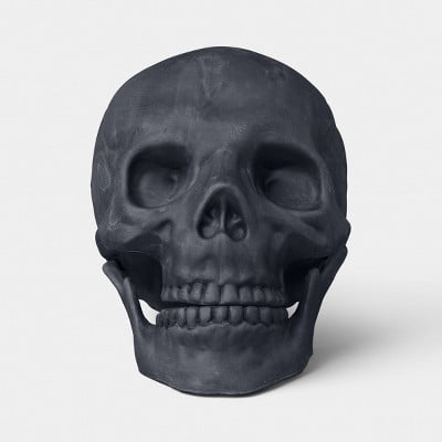 6" Medium Skull Halloween Decorative Prop - Hyde and EEK! Boutique™