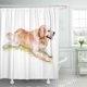 thumbnail image 1 of ABPHQTO Acuarela Closeup retrato de perro de raza Golden Retriever blanco de gran tamaño Cortina de ducha de pelo largo Cortina de baño 165x180 cm ABPHQTO PKNMT66x72Shower-12922, 1 of 2