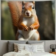 thumbnail image 2 of Orinice  Squirrel Funny Animal Tapestry Wide Wall Hanging Vintage Lightweight Wall Blanket Funny Tapestry Wall Art Home Decor Soft Mural for Bedroom Dorm Living Room  50x40inch, 2 of 6