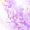 Golden Purple 10, variant on Manfei Marbling 7-Piece Twin Bedding,Cartoon Initial L Bedding Comforter Set,Purple,Polkadot Reversible