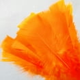 thumbnail image 5 of Turkey Feather Dusters for Cleaning Home Blinds Kitchen car Office, Eco-Friendly Reusable （2 pcs Orange）, 5 of 5