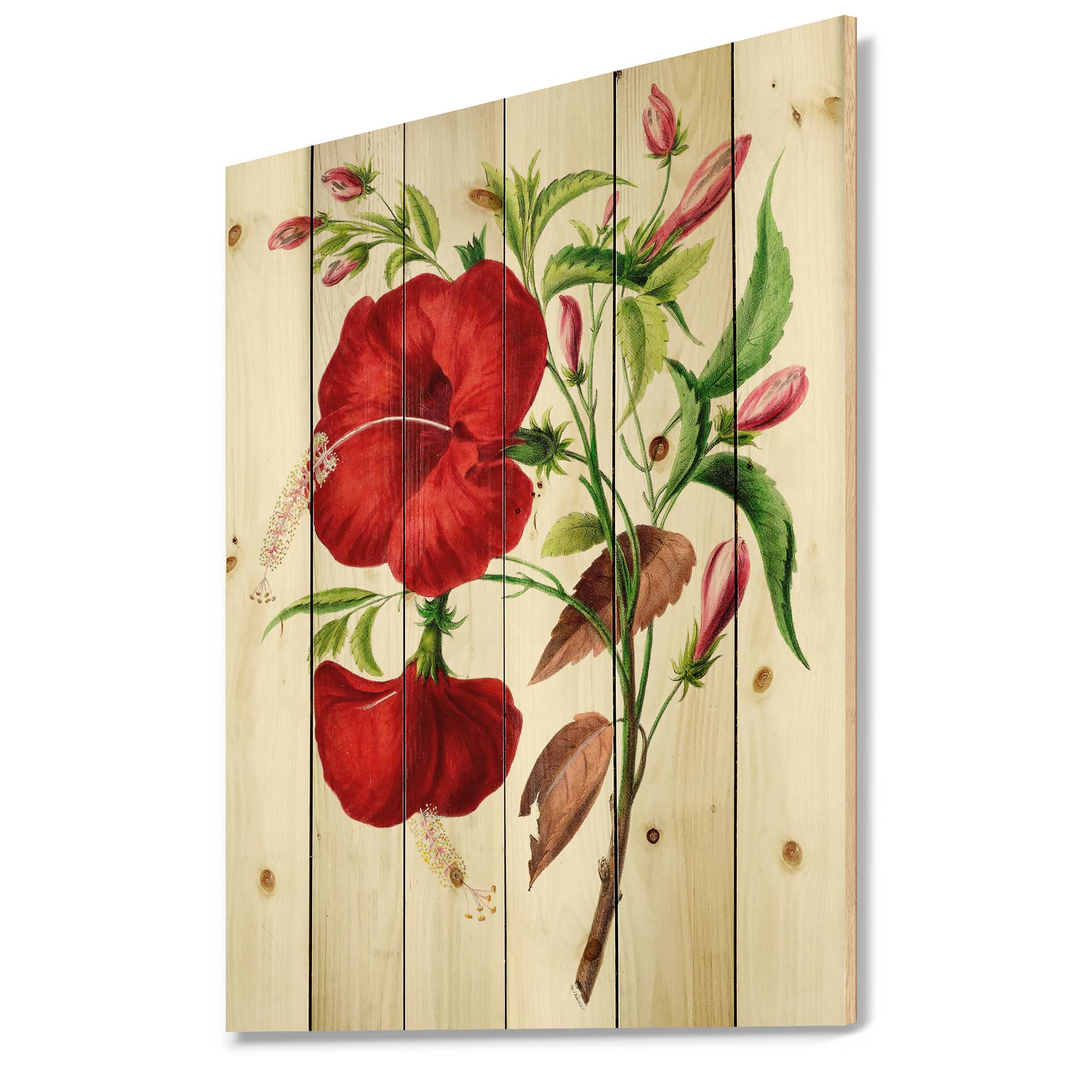 Designart 'Ancient American Flora I' Traditional Print on Natural Pine Wood