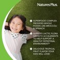 thumbnail image 4 of NaturesPlus Animal Parade KidGreenz - 90 Chewable Tablets - 90 Servings, 4 of 6