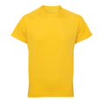 thumbnail image 1 of Tri Dri Mens Panelled Short Sleeve T-Shirt, 1 of 3