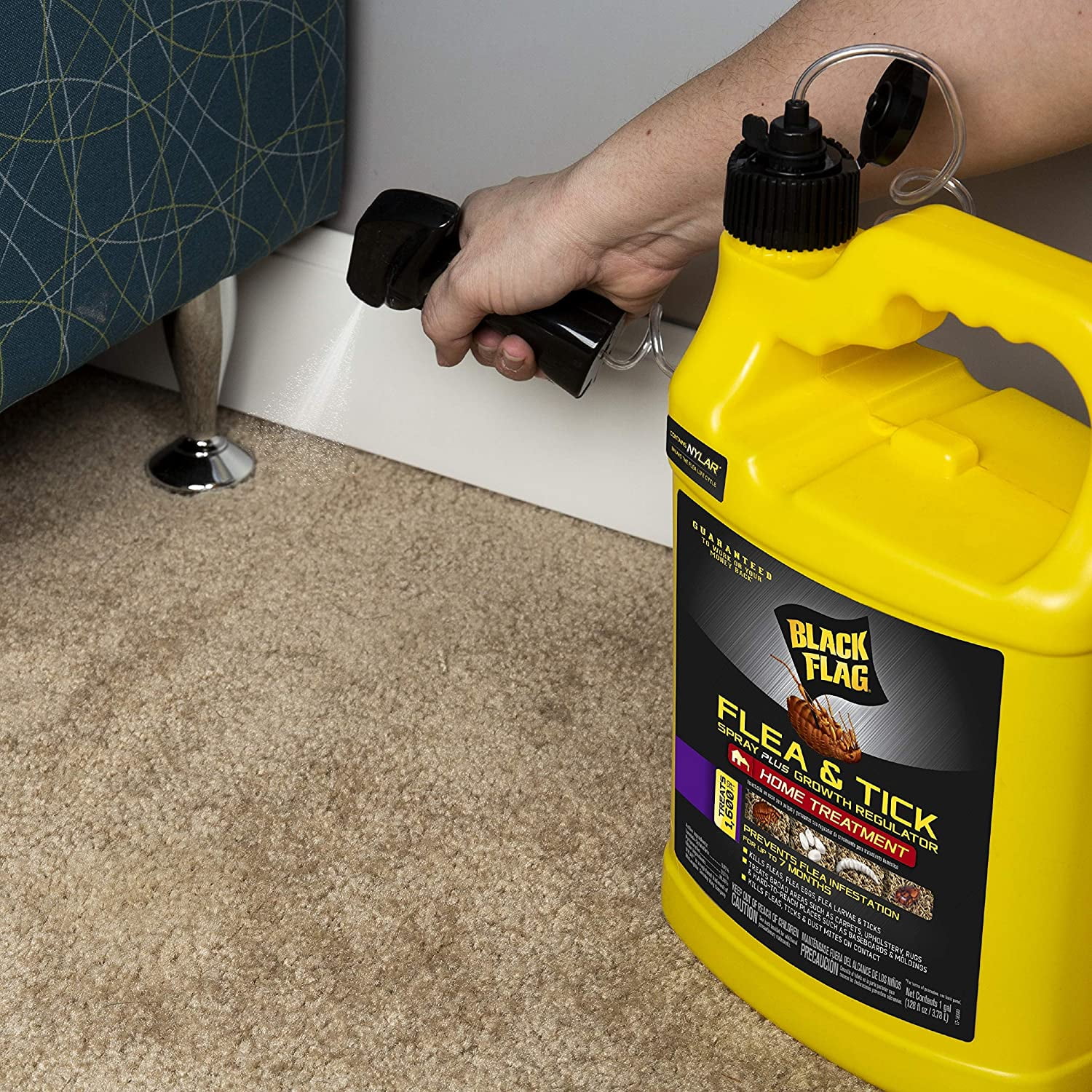 Black Flag Extreme Flea Killer Plus Growth Regulator Ready to Use 1 gal