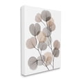 thumbnail image 2 of Stupell Industries Modern Eucalyptus Leaf Stems Translucent Brown Grey Leaves, 24 x 30,Design by Albert Koetsier, 2 of 5