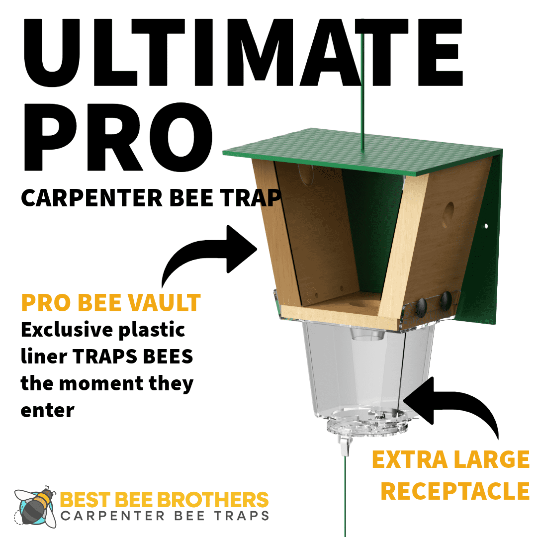 Best Bee Brothers Ultimate Pro Carpenter Bee Trap for Outside with Extra-Large, Clear External Bee Vault & Spring-Loaded Door, 4.2” D x 5.8” W x 7.5” H
