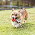 thumbnail image 2 of Vibrant Life Rubber Ball with Rope Dog Toy, 2 of 2