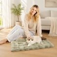 thumbnail image 5 of Pet Mat, Ultra Soft Plush Fuzzy, 1 Piece Bubble Texture Light Sage Cozy Pad, Warm Comfortable Sleeping Cushion for Dogs Cats Small Medium Pets Indoor Couch Floor Crate Bed Rest Use, 5 of 6