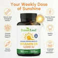 thumbnail image 4 of Forest Leaf 10000IU Vitamin D3 Bone Strength & Immune Support Supplement, 180 Capsules, 4 of 9