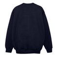 thumbnail image 2 of Harry Potter Boys Slytherin Crest Sweatshirt, 2 of 6