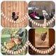 thumbnail image 2 of 1 escalera de madera para gallinas, columpio para gallinas, percha para aves, aves de corral y gallos., 2 of 7
