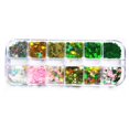 thumbnail image 1 of Soidarity Mujeres Festival Calcomanías Set Nail Glitter Flakes Accesorios de manicura Belleza Juegos de manicura Tipo 2 seitruly CE012320-02B, 1 of 6