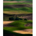 thumbnail image 2 of Langager, Ron 26x31 Gold Ornate Wood Framed with Double Matting Museum Art Print Titled - Rolling Dreams, 2 of 4