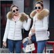 thumbnail image 1 of Abrigo de invierno corto de lana con cuello grande y relleno de algodón para mujer, chaqueta de plumón pequeña y ajustada, abrigo moderno, 1 of 6