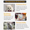 thumbnail image 4 of Juguetes para gatos 21 piezas Juego de juguetes para gatitos Juguetes interactivos para gatos para Eccomum Juguetes para gatos, 4 of 7
