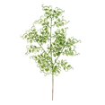 thumbnail image 1 of Vickerman L186373 22 in. Lime Glitter Mini Ruscus Leaf Spray, 12 per Bag, 1 of 2