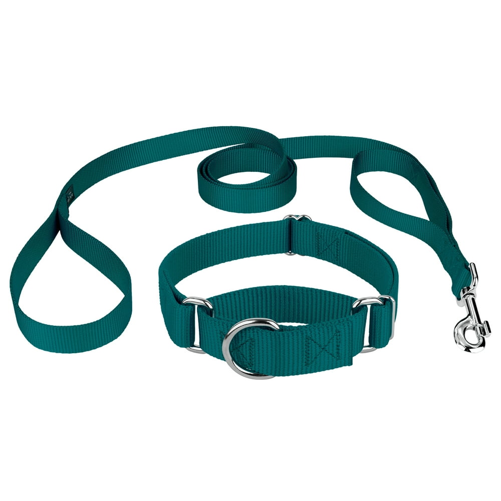 Country Brook Design® Martingale Heavyduty Nylon Dog Collar and Double