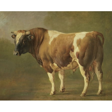 Study Oil Painting - Study Of A Bull Jacques Raymond Brascassat 1830-67 French Painting Oil On Canvas Poster Print