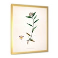 thumbnail image 2 of Designart 'Ancient Botanicals XIX' Farmhouse Framed Art Print, 2 of 4