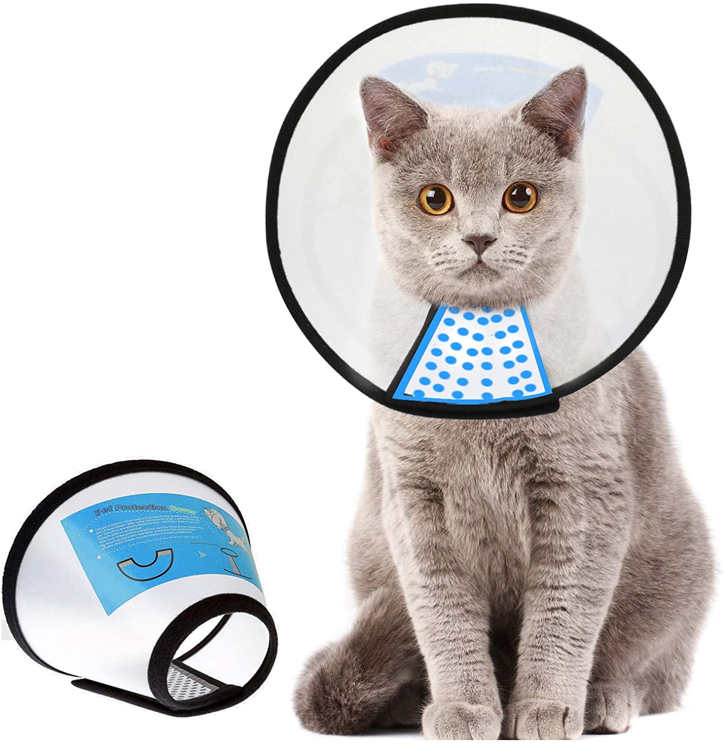 electronic collar for cats