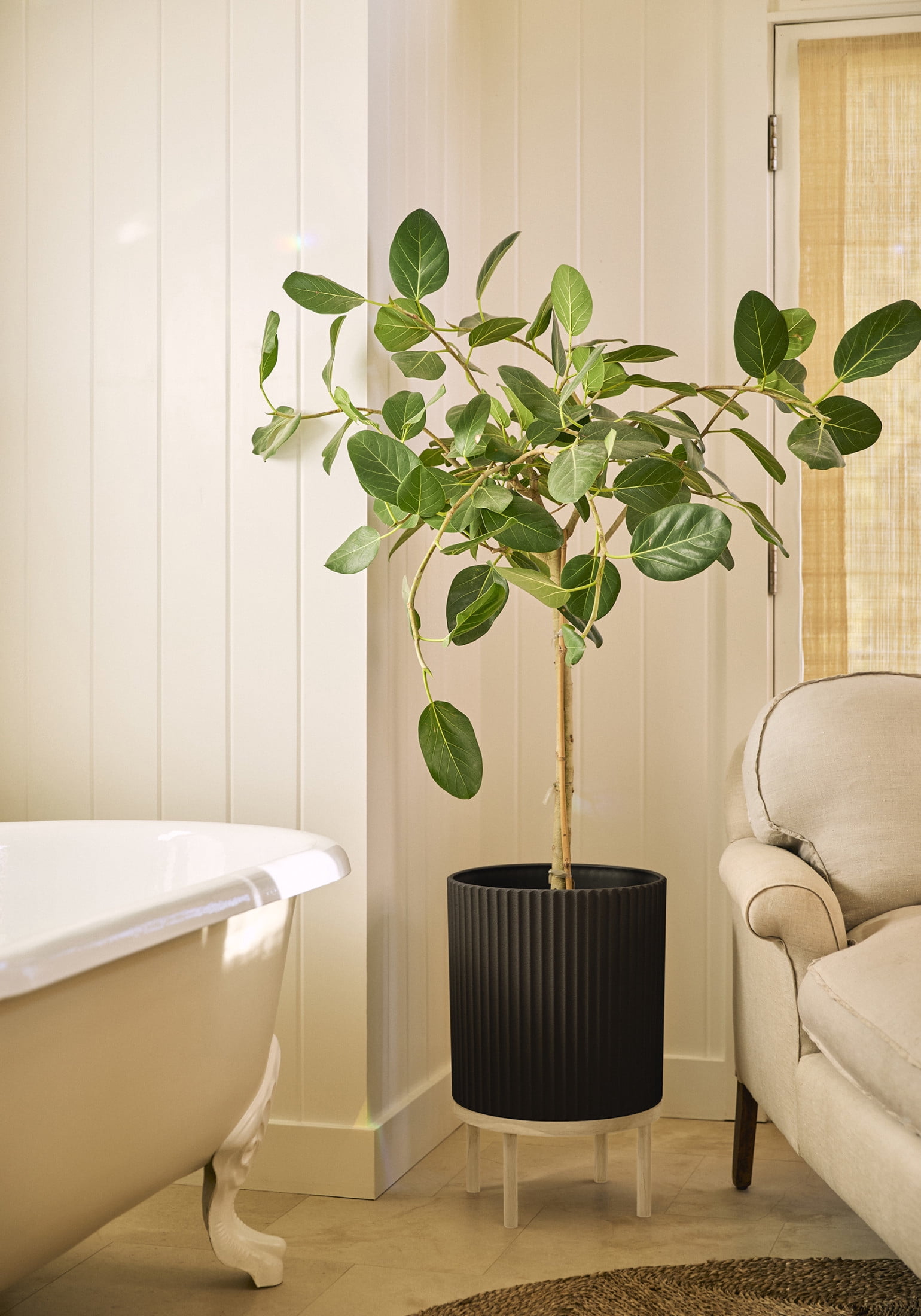 Veradek Demi Series Raised 16" Plastic-Stone Planter - (Black/White, 2 Pack)