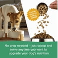 thumbnail image 6 of Dr. Marty Nature's Blend Sensitivity Select Small Bites Freeze-Dried Raw Dog Food, 16-oz, 6 of 6