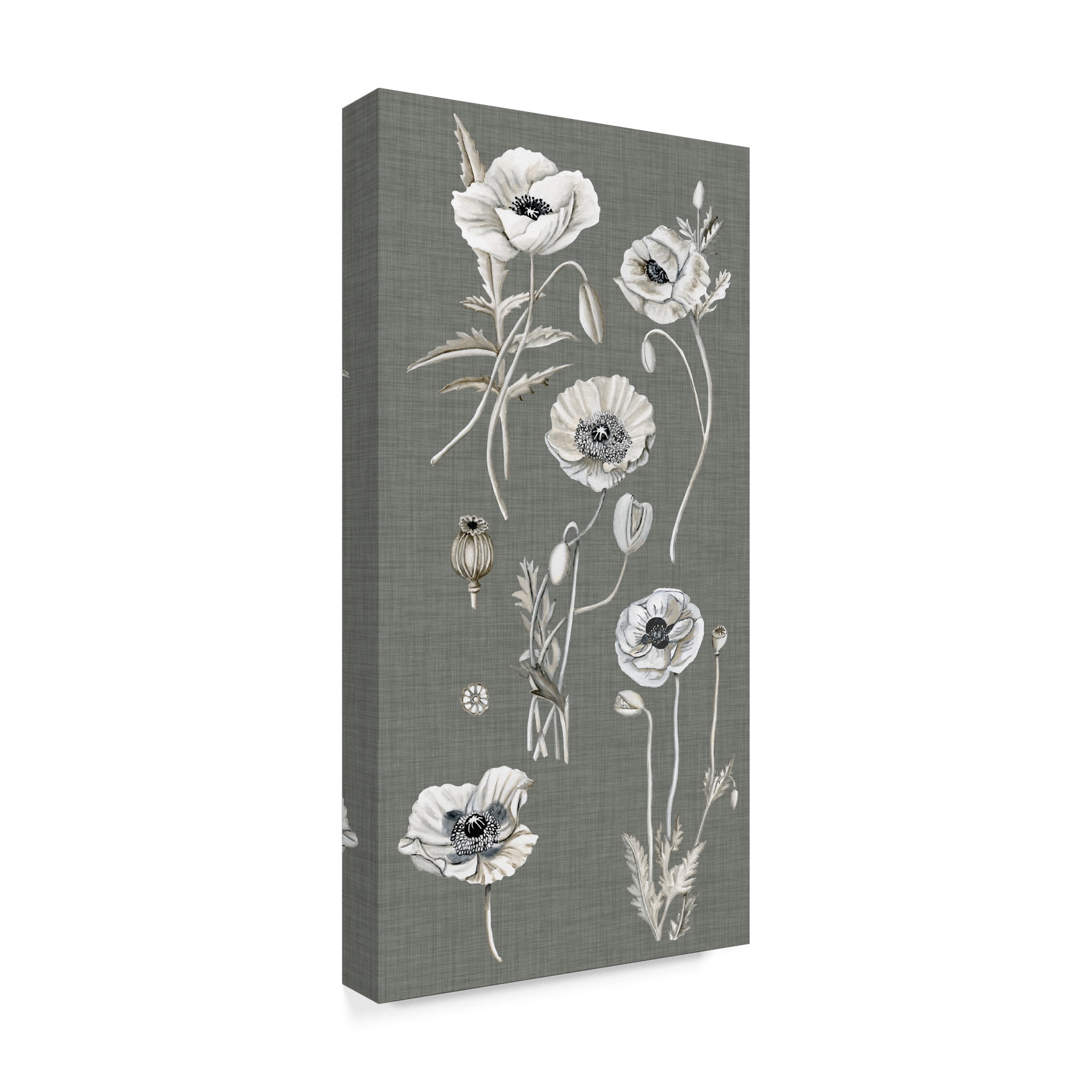 Trademark Fine Art 'Poppy Array I' Canvas Art by Naomi McCavitt