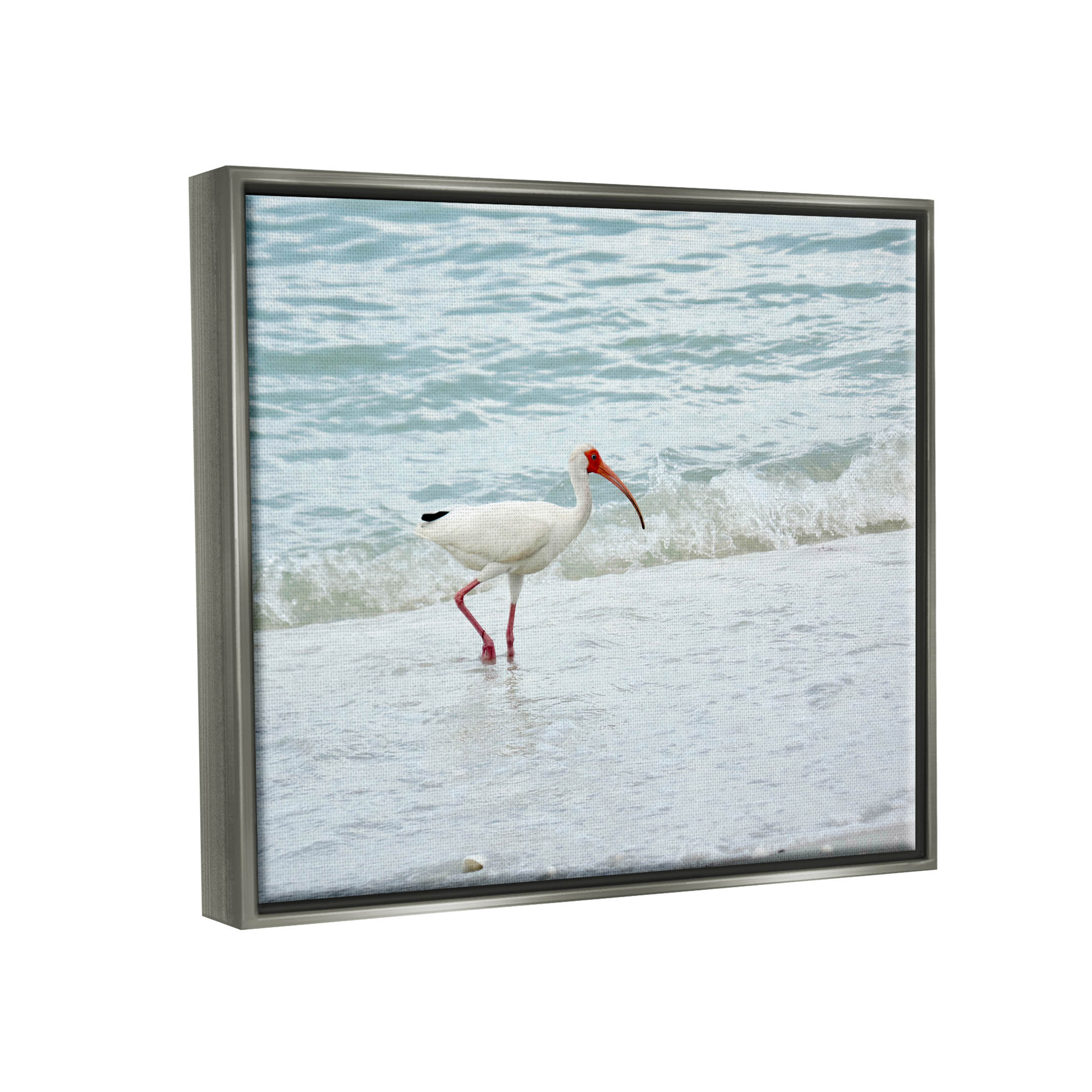 Bird Stepping Sea Waves Splash Animals & Insects Photograph Luster Gray Framed Art Print Wall Art