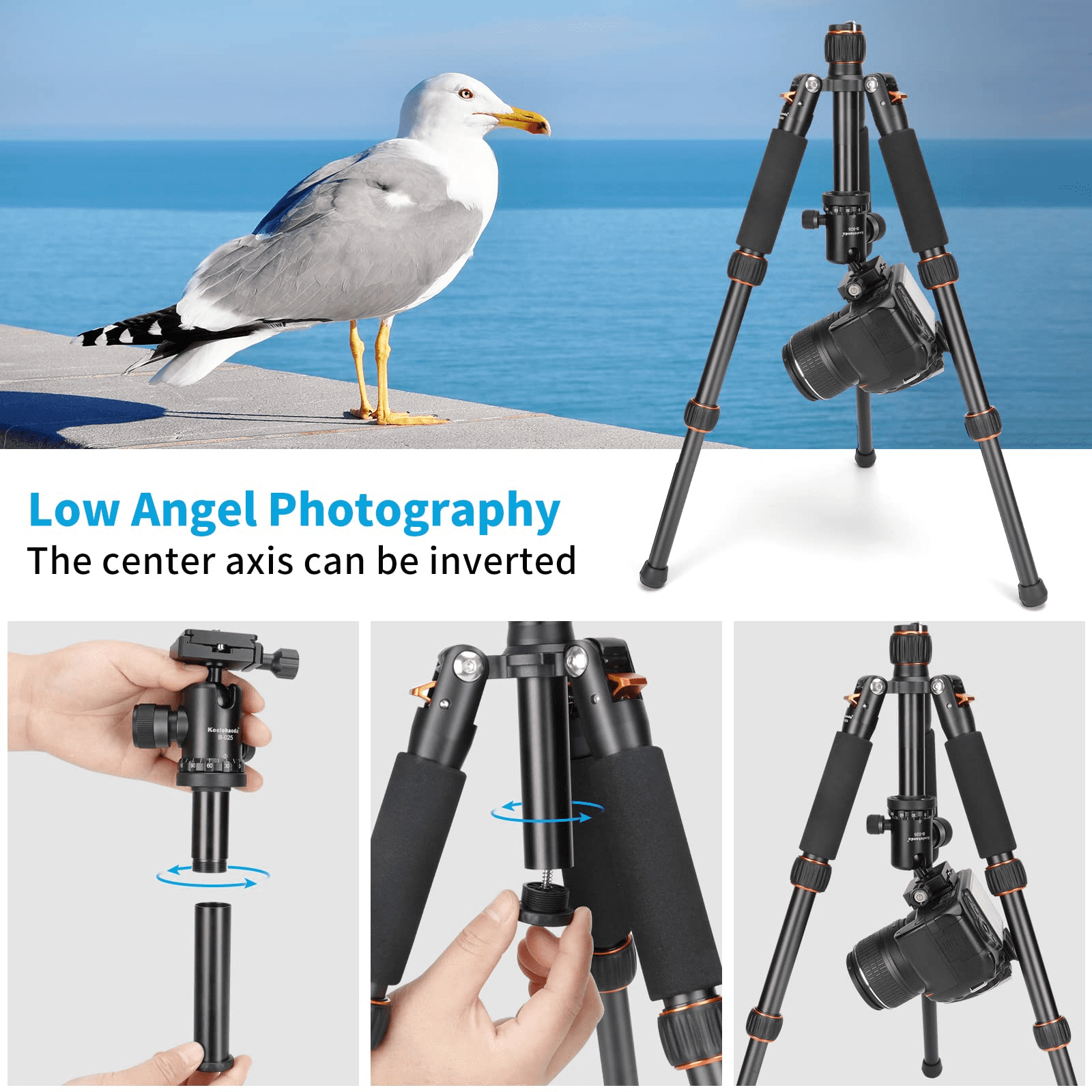 Koolehaoda Portable Mini Tripod Aluminum Alloy Tabletop Tripod 25inch with 360 Degree Ball Head, 1/4 inch Quick Shoe Plate for DSLR Camera Video Camcorder TMP-223 Orange