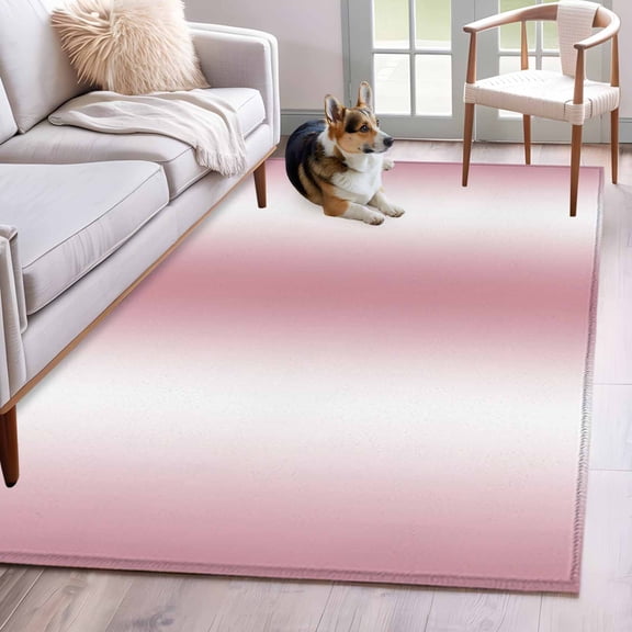 Pink White Ombre Area Rug 3x5 Washable Rug Non Slip Romantic Minimalist Modern Art Large Area Rug Indoor Floor Carpet for Entryway Bedroom Kitchen Living Room Home Office Dining Room Nursery