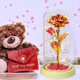 thumbnail image 3 of Rosa Eterna en Cúpula de Vidrio con Luces led, Rosa Artificial, Regalos Románticos para mamá y Esposa en San Valentín, Cumpleaños, Aniversario, 3 of 4