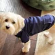 thumbnail image 5 of Sudadera Con Capucha For Perro De Invierno, Sudaderas Con, 5 of 5