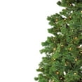 thumbnail image 2 of Northlight 6.5' Prelit Artificial Christmas Tree Pine - Clear Lights, 2 of 5